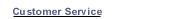 Customer Service